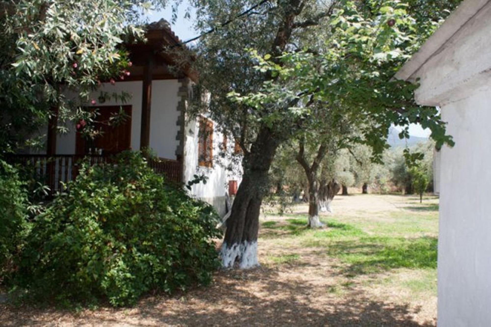 Patroudis House Lägenhet Skala Rachoni  Exteriör bild