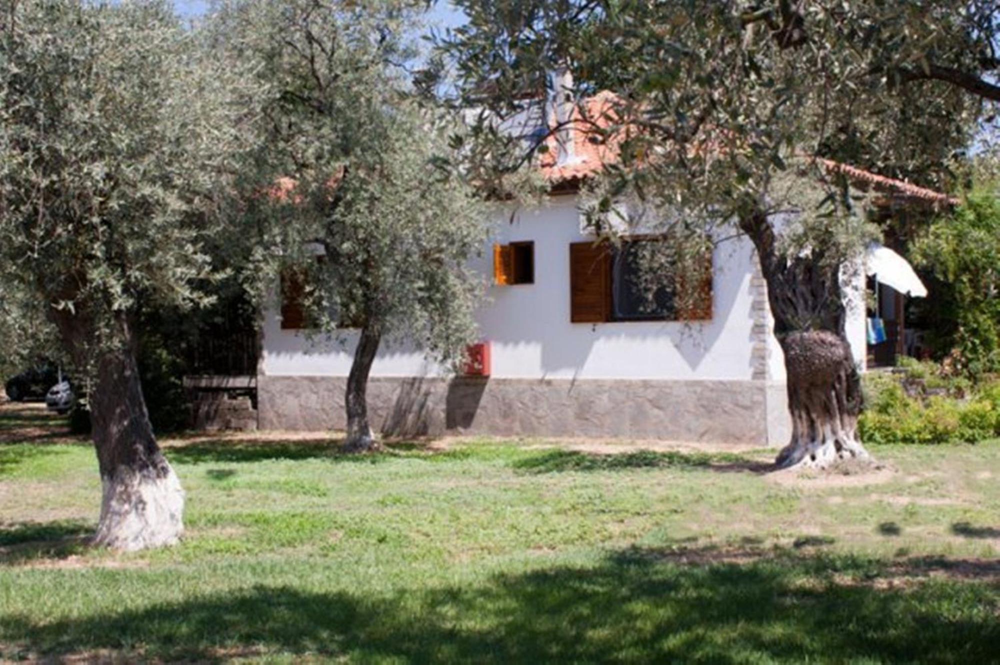 Patroudis House Lägenhet Skala Rachoni  Exteriör bild